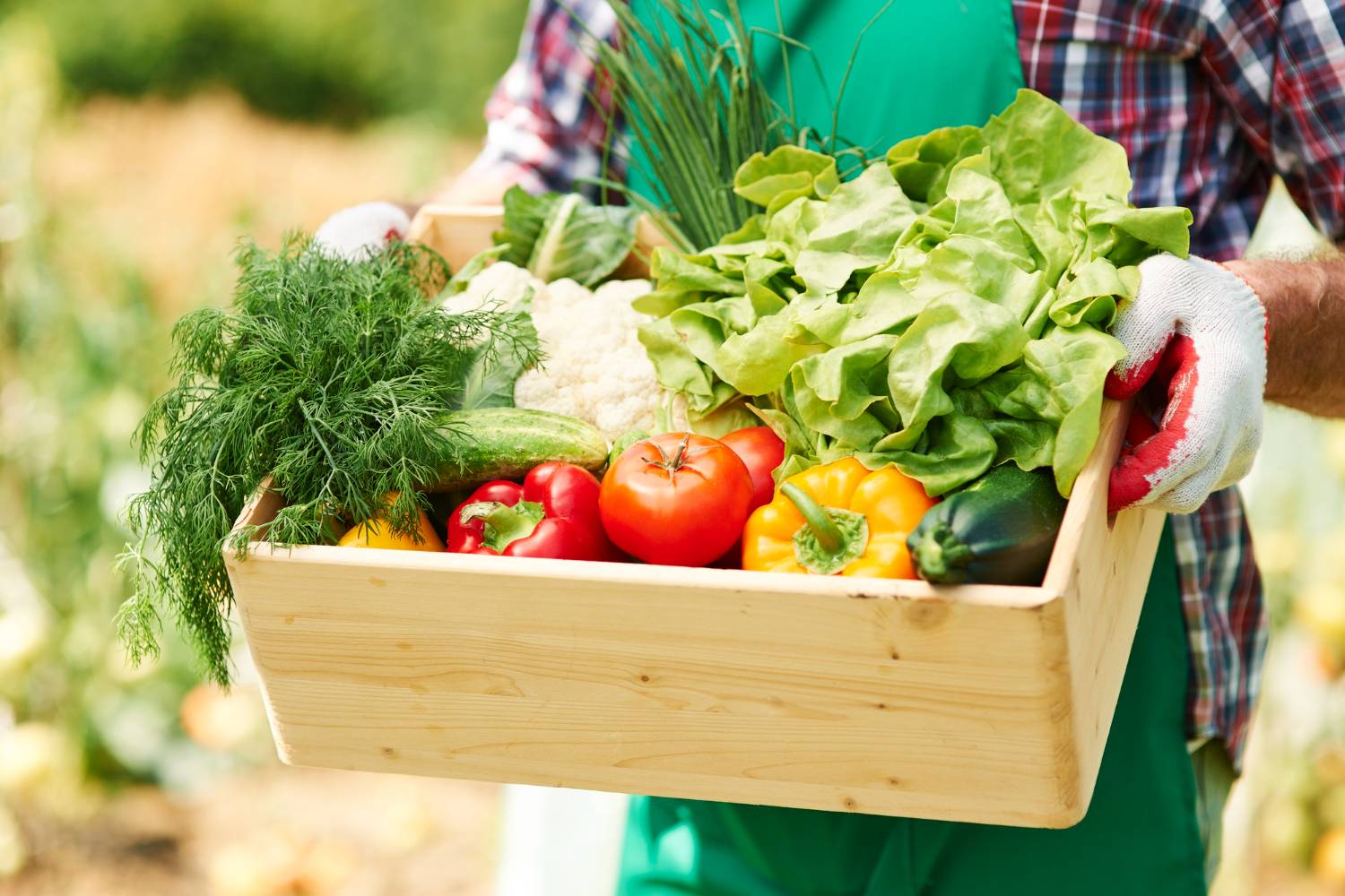 Focus Sector: Agricultural & Food Security