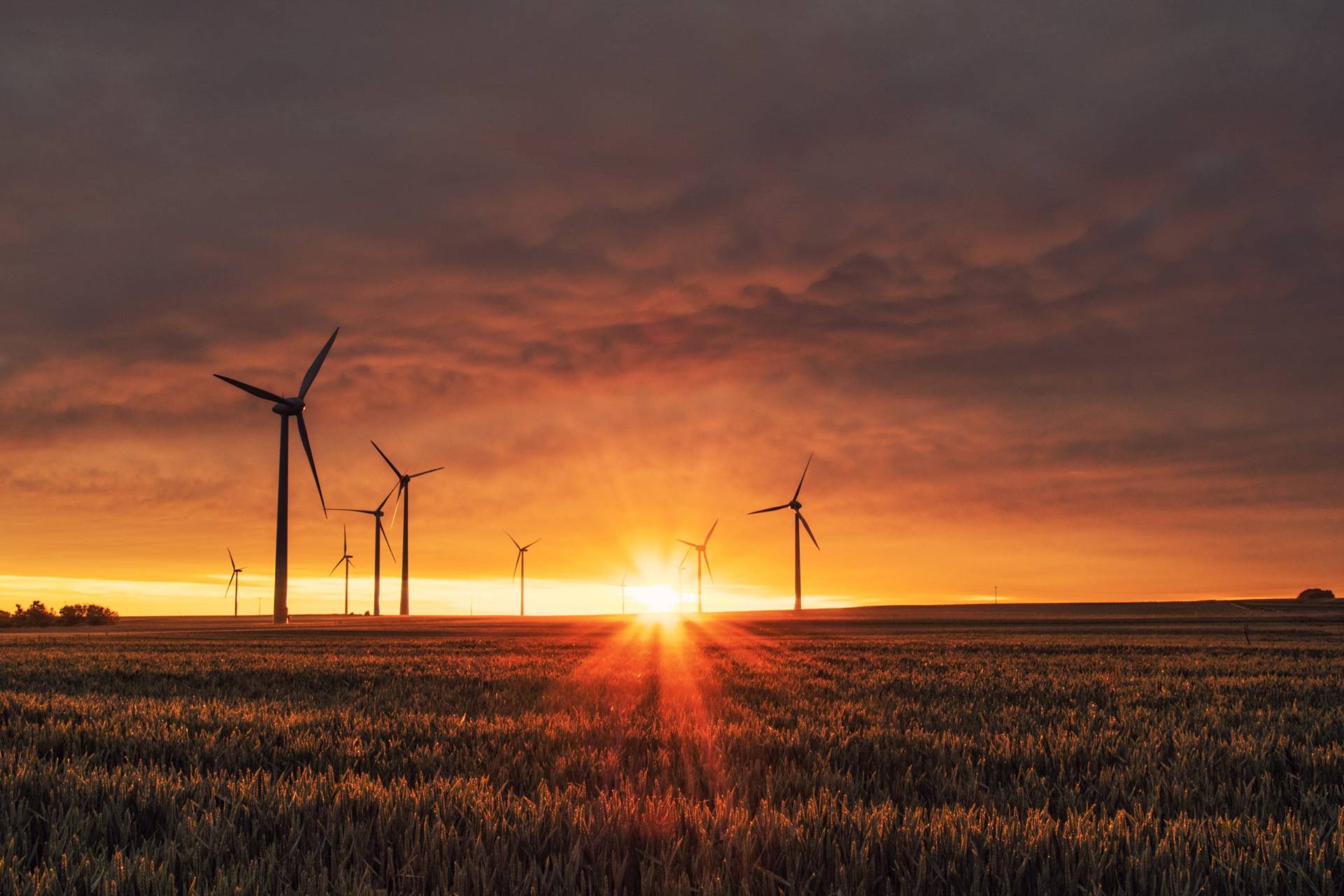 Focus Sector: Environmental Sustainability